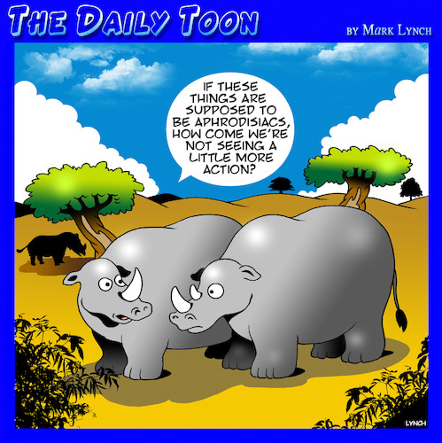 Cartoon: Rhino horns (medium) by toons tagged aphrodisiacs,rhino,horns,sexual,stimulate,africa,animals,endangered,species,aphrodisiacs,rhino,horns,sexual,stimulate,africa,animals,endangered,species,sex