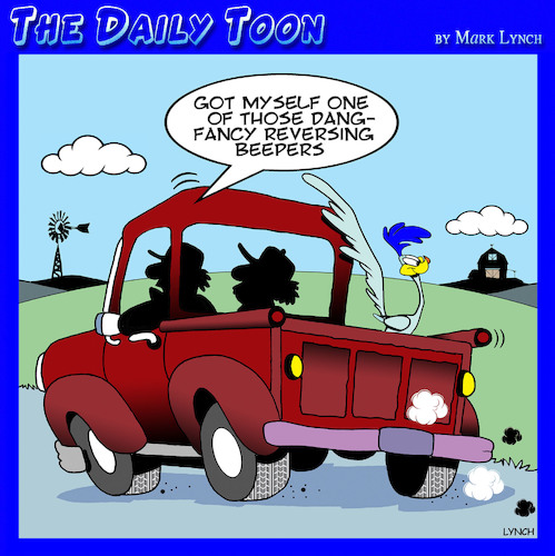 Road runner Road runner