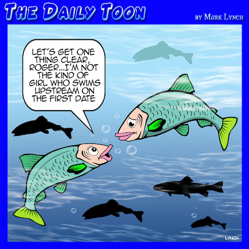 Salmon swimming upstream Salmon swimming upstream