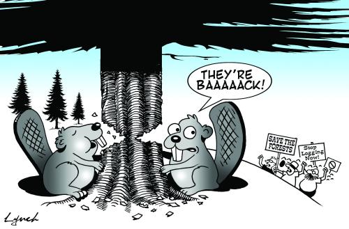 Environment Deforestation Images Cartoon