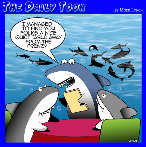 Shark frenzy Shark frenzy