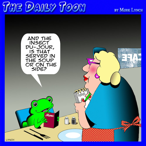 Soup du jour Soup du jour