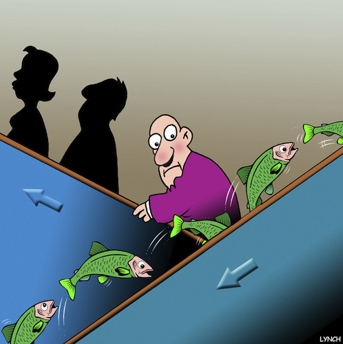 Cartoon: The Salmon run (medium) by toons tagged salmon,escalators,run,fish,sporning,salmon,escalators,run,fish,sporning