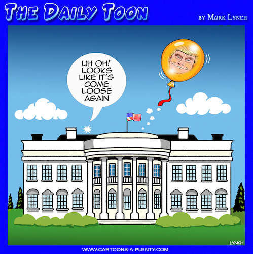 Trump bubble Trump bubble