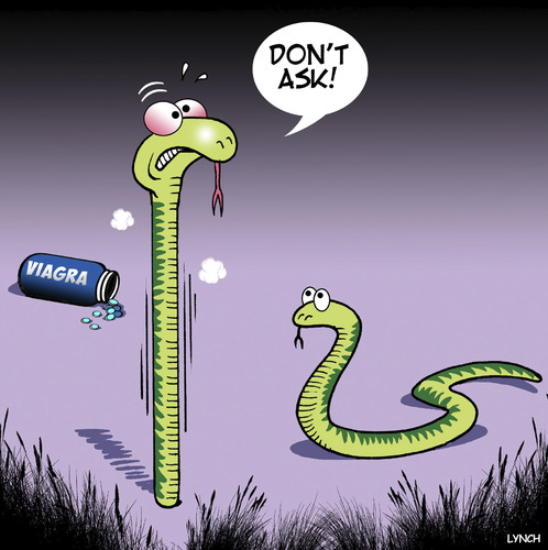 Cartoon: Viagra (medium) by toons tagged snakes,stiff,animals,erectile,dysfunction,viagra,snakes,stiff,animals,erectile,dysfunction