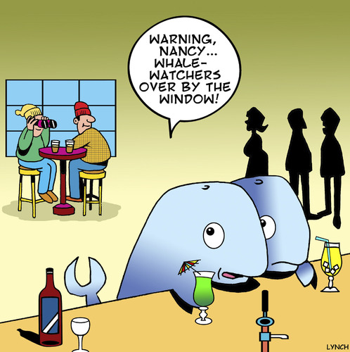 Cartoon: Whale watchers (medium) by toons tagged watchers,whale,whales
