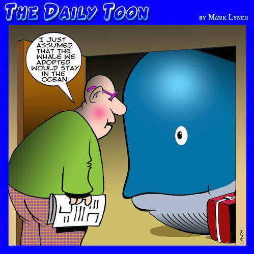Whales Whales