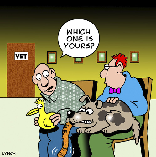 Cartoon: which one is yours (medium) by toons tagged vet,animals,sick,dogs,cats,ducks,hospital,animal