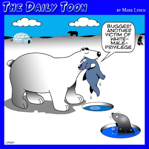 Cartoon: White male privilege (medium) by toons tagged polar,bears,white,male,privilege,seals,polar,bears,white,male,privilege,seals