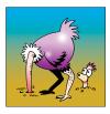 Cartoon: bummer (small) by toons tagged ostrich self help examination animals birds flightless head in the sand