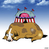 Cartoon: Cirque Du Flea (small) by toons tagged dogs,circus,flea,cirque,do,solei,fleas