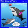Feeding frenzy