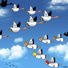 Cartoon: flying by (small) by toons tagged angels heaven birds flying in formation geese fly south for the winter god wings religion