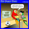 Cartoon: Mimes (small) by toons tagged pet,shop,parrots,talking,parrot,talkative