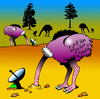 Cartoon: ostrich tv (small) by toons tagged ostrich birds flightless tv pay cable radar satellite dish entertainment video dvd disc