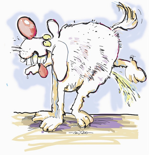 Cartoon: Dirty Dog (medium) by Nige W tagged cartoon,dog,vector