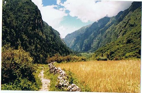 Cartoon: Footpath to Jomsom - NEPAL (medium) by RnRicco tagged nepal,vacancy,mountain,hill,nature,trek,ricco,himalaya