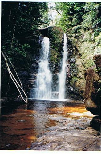 Cartoon: Quebrada de Jaspe - Kaku Paru (medium) by RnRicco tagged waterfall,water,djungls,venezuela,national,park,ricco