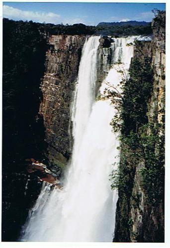 Cartoon: Salto Meru (medium) by RnRicco tagged water,waterfall,djungle,national,park,landscape,indios,ricco,venezuela