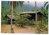 Cartoon: Home Sweet Home (small) by RnRicco tagged bungalow,hut,djungle,palm,palms,ricco,travel,world