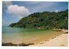 Cartoon: Koo Maa Beach (small) by RnRicco tagged siam,koh,maa,beach,djungle,ricco,world