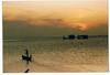 Cartoon: Siamese Sunset (small) by RnRicco tagged sunset ricco siam thailand koh maa pha ngan