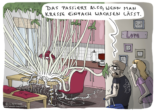 Cartoon: Kresse (medium) by H Mercker tagged kresse,küchentisch,pflanze,blume,essen,abschneiden,küche,gewächs