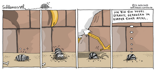 Cartoon: Schlamassel Nr 34 (medium) by H Mercker tagged assel,kellerassel,vogel,strauss,huhn,vergraben,schlamassel,kopf,sand,natur,tiere