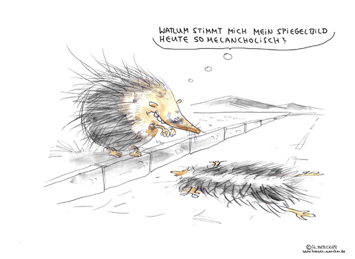 Spiegelbild Spiegelbild