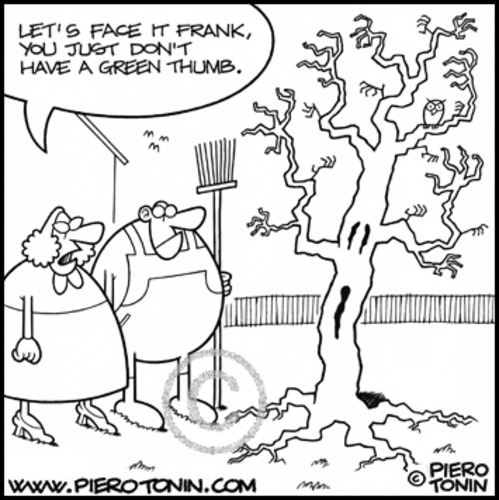 Cartoon: Green Thumb (medium) by Piero Tonin tagged piero,tonin,gardening,garden,gardens,green,thumb,thumbs,horror,tree,trees,plant,plants