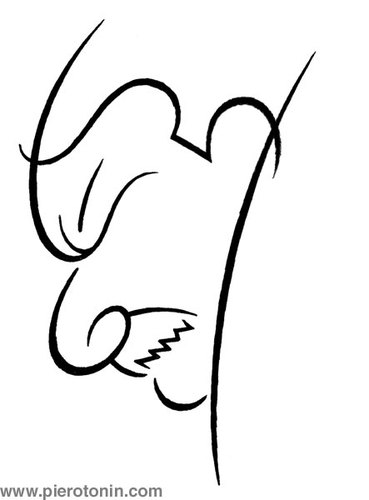 Cartoon: Paolo Conte (medium) by Piero Tonin tagged piero,tonin,paolo,conte,music,musica,musician,musicians,jazz,italy,italian,italians