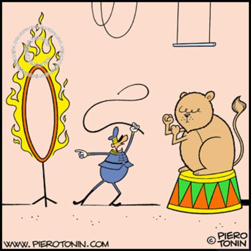 Cartoon: The liontamer (medium) by Piero Tonin tagged piero,tonin,lion,tamer,liontamer,circus,lions