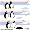 Cartoon: Chivalry (small) by Piero Tonin tagged piero tonin penguin penguins animal animals love relationship relationships couple couples chivalry south pole boyfriend girlfriend boyfriends girlfriends date dating sex