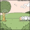 Cartoon: Unravelling (small) by Piero Tonin tagged sheep,wool,animal,animals