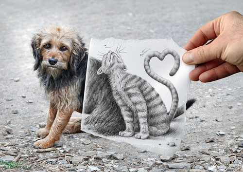 Cartoon: Pencil Vs Camera - 58 (medium) by BenHeine tagged pencil,vs,camera,art,ben,heine,drawing,photography,imagination,reality,surrealism,pencilvscamera,benheine,augmented,sketch,dog,cat,love,duo,friendship