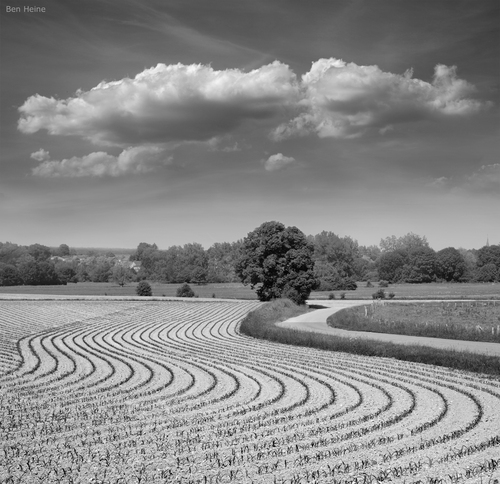 Cartoon: Symphony (medium) by BenHeine tagged lessive,rochefort,belgium,ben,heine,photography,art,cloud,natire,landscape,artistery,samsung,nx10,composition,tree,symphony,music,elements,curves,courbes