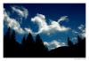 Cartoon: Dancing Horse in the Sky (small) by BenHeine tagged sky horses waltzing mouse white horse cheval dance spring jump night search heaven paradis dissipation cloud fumes soundless lightning strike silence quiet calm slow leap sway stars danse smoke sport jockey forest ben heine hubert lebizay hubzay