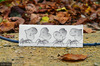 Cartoon: Pencil Vs Camera - 39 (small) by BenHeine tagged 200mm amour pheromons ant ben heine pulse beat coeur cute drawing vs photography insect social folded fourmis heart feuille paper autumn fall colors leaf love macro benheine pvsc pencil camera saint valentine samsung imaging zoom