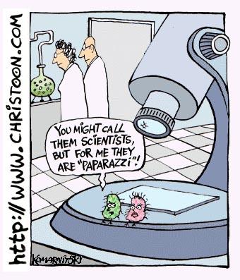 Cartoon: paparazzi (medium) by Christo Komarnitski tagged cartoon,comic,science