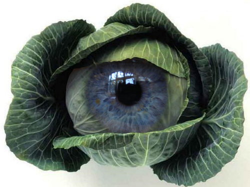 Cartoon: Cabbage eye! (medium) by willemrasingart tagged cuisine,haute