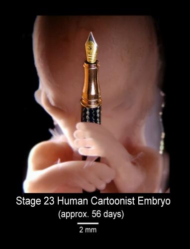 Cartoon: Cartoonist embryo (medium) by willemrasingart tagged baby,