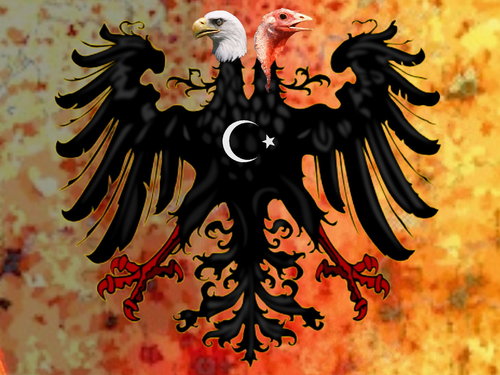 Cartoon: German Turkish eagle! (medium) by willemrasingart tagged turkey