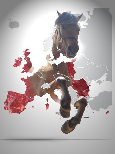 Cartoon: Horsemeat over Europe! (medium) by willemrasingart tagged horse
