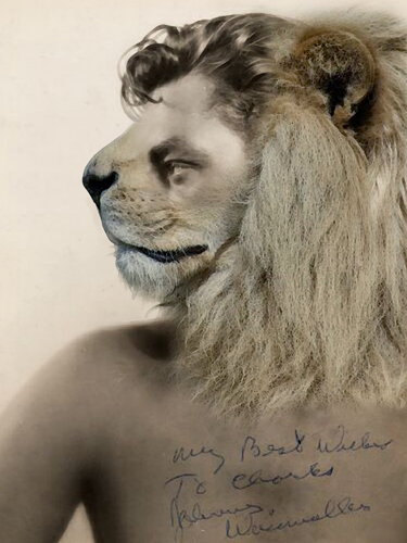 Cartoon: Johnny Tarzan Weissmuller! (medium) by willemrasingart tagged great,personalities