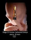 Cartoon: Cartoonist embryo (small) by willemrasingart tagged baby,