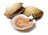 Cartoon: Oyster! (small) by willemrasingart tagged haute,cuisine