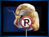 Cartoon: Parking forbidden (small) by willemrasingart tagged traffic,