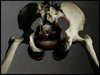 Cartoon: The mousekiller undercover! (small) by willemrasingart tagged mousekiller
