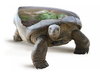 Cartoon: Turtlesoup! (small) by willemrasingart tagged haute cuisine