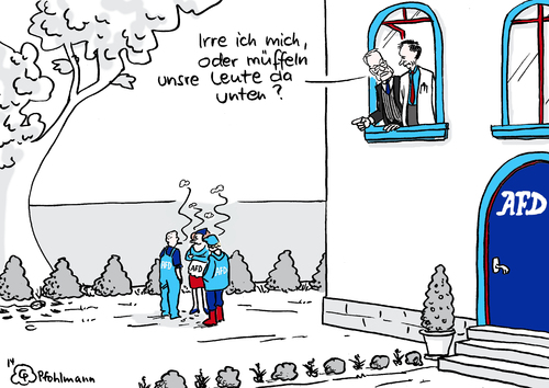 AFD-Basis AFD-Basis